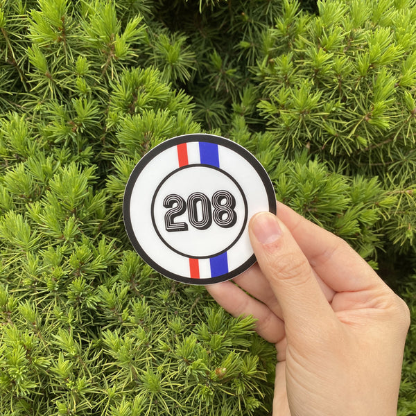 208 Racing Stripe Sticker
